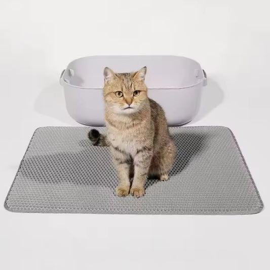 Lettiera per gatti